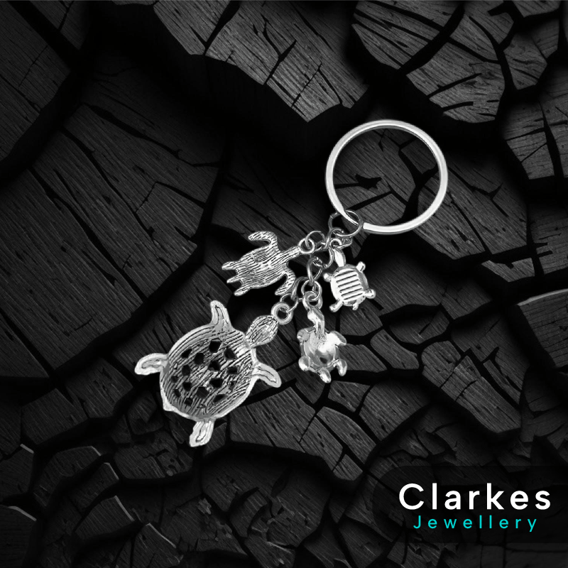 Turtle Keyring- Perfect Gift - Stainless Steel + Box - Image 2