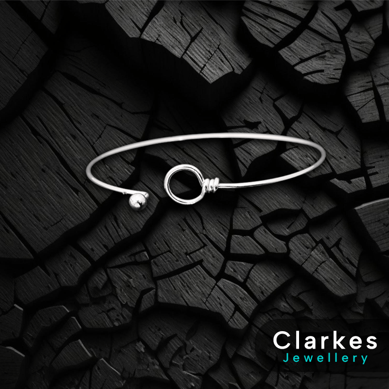 Ladies Simplistic Stainless Steel Bangle Bracelet + Clarkes Gift Box