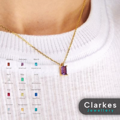 Stainless Steel 9ct Gold Plated Birthstone Necklace - Jan to Dec