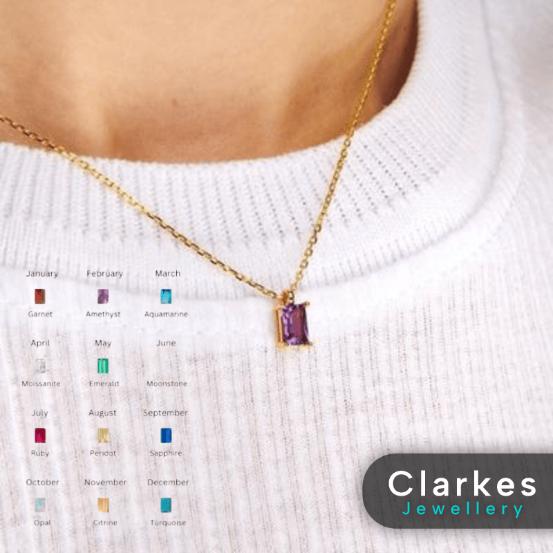 Stainless Steel 9ct Gold Plated Birthstone Necklace - Jan to Dec