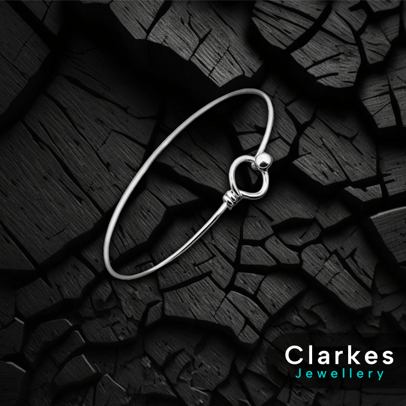 Ladies Simplistic Stainless Steel Bangle Bracelet + Clarkes Gift Box - Image 2