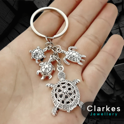 Turtle Keyring- Perfect Gift - Stainless Steel + Box